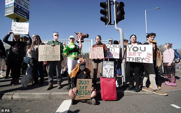 Protesters who tried to stop this year's horse racing Grand National were attacked