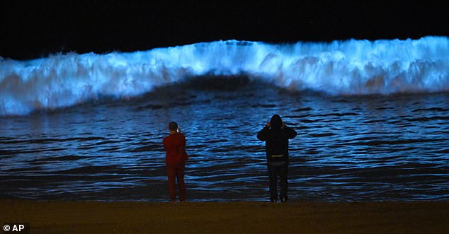 From San Diego to Los Angeles, Californians watched the stunning bioluminescent waves crash onto the shore (2020 file photo)