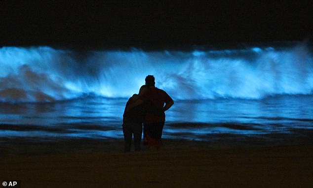 Spectators watch bioluminescent plankton light up the shoreline as they toss in the waves at Dockweiler State Beach in Los Angeles, California (photo in 2020)