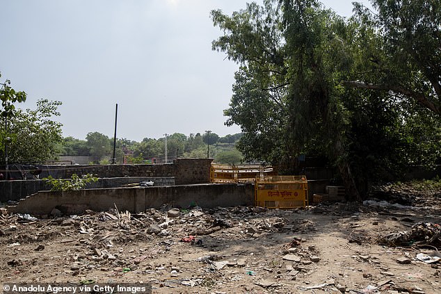 The slum clearance is part of a broader attempt by India to blindside world leaders.  Stray dogs have also been removed from the busy streets of New Delhi.  Authorities in the Indian capital went on a clean-up campaign as part of a beautification project