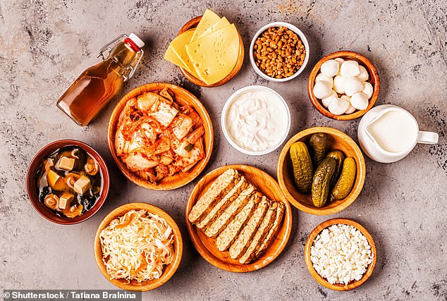 Pictured is a selection of fermented foods containing probiotics.  This includes kefir, kombucha, sauerkraut, pickles, miso soup, tempeh, natto, kimchi, yogurt, mozzarella and Gouda cheeses, cottage cheese.  Taking a probiotic supplement or eating fermented foods, such as kimchi or sauerkraut, helps repopulate your gut bacteria and can help correct the imbalance caused by drinking too much.