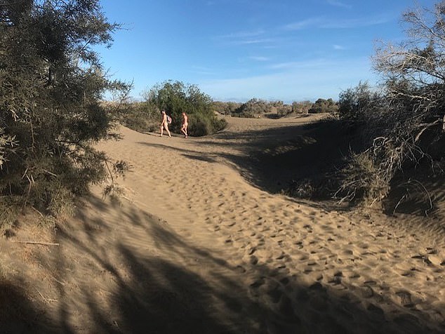 Tourists and foreign residents of Playa del Inglés are managing to outsmart environmental officials by telling each other where and when they see them and what time they leave the area, according to posts from sex groups on Facebook.