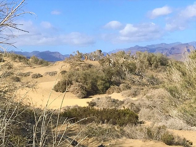 Some advise that it is 'safe' to go to the dunes for casual sex after 2 or 3 p.m., by which time the patrolling officers are done for the day