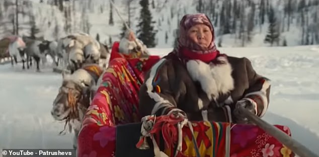 The girl participating in an arranged marriage is taken to her husband-to-be with dozens of reindeer in tow, which will be offered as a dowry