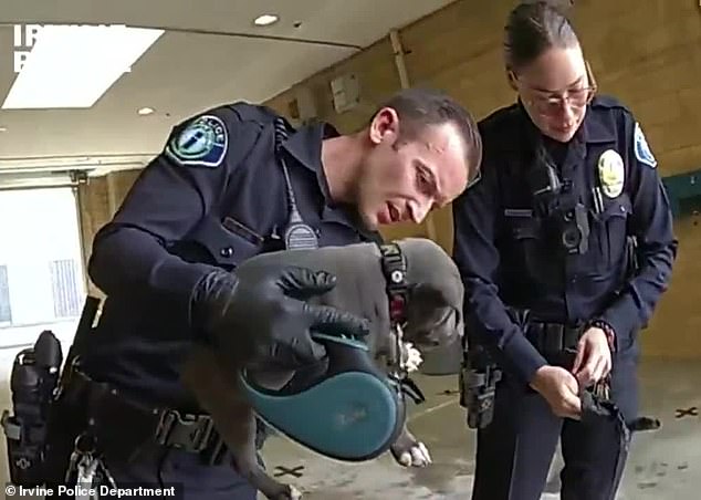 Officers gave the puppy a dose of Narcan and rushed her to the vet