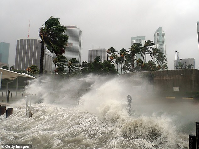 While some models suggest Hurricane Lee may not make landfall, similar reassuring predictions were made about Hurricane Irma in 2017 before it tore up Florida's Gulf Coast (pictured)