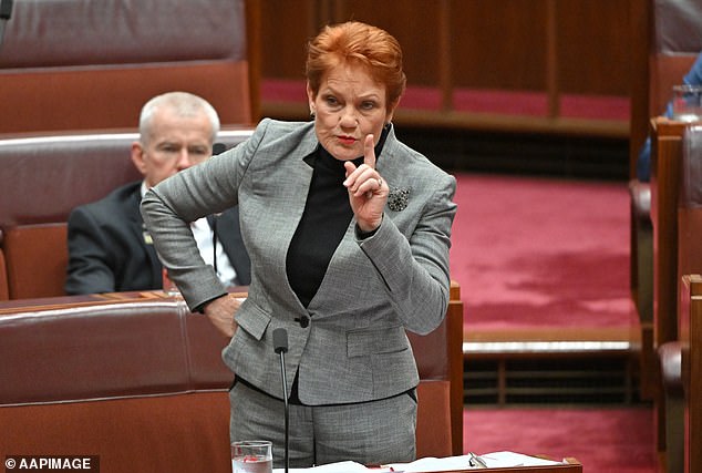 Queensland One Nation Senator Pauline Hanson said the native title battle over the councils was deeply unfair