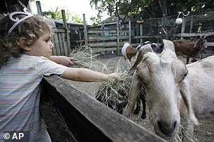 Most recently, she has been living in nature with the company of her two grandchildren in what she calls her “oasis.”