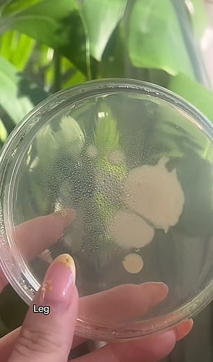 It also produced a small amount of bacteria