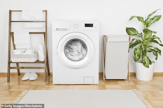 Natasha's new washing machine is equipped with a hatch through which you can place the socks that would like to escape on the way to the machine