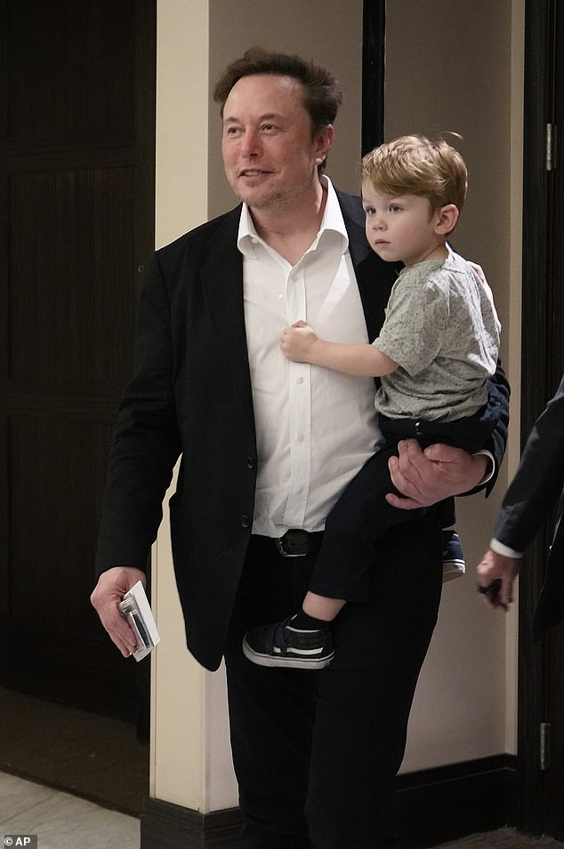 It was already known that Musk, 52, shared two children with the 35-year-old singer: three-year-old son ' mentioned, before it was revealed last week that the former couple welcomed a third bundle of joy, Techno 'Tau' Mechanicus