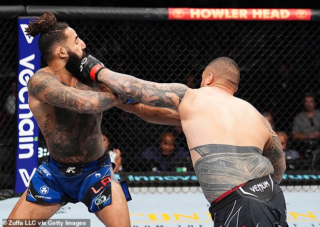 Professional boxers wear gloves with much more padding than those used by UFC stars like Justin Tafa (pictured as he knocks out Austen Lane in Sydney)