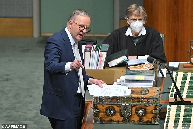 He has been described by some of the most senior members of the Labor Party as an 'idiot', 'selfish', a 'joke' and an 'indulgent student politician'.