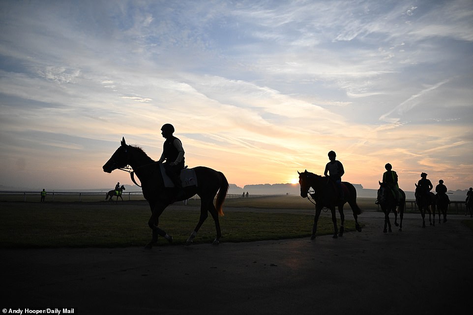 As the sun rises on Warren Hill in Newmarket, the horses begin galloping around the famous racecourse