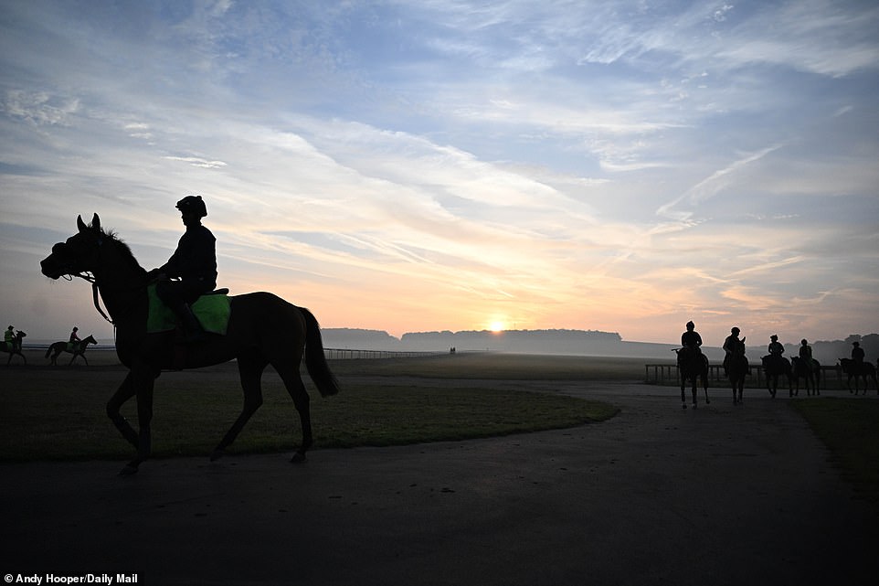 1694417891 897 SOUL OF SPORT The breathtaking Newmarket Gallops are world famous