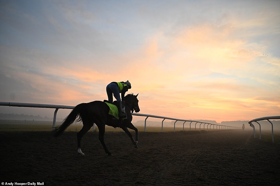 1694417893 364 SOUL OF SPORT The breathtaking Newmarket Gallops are world famous