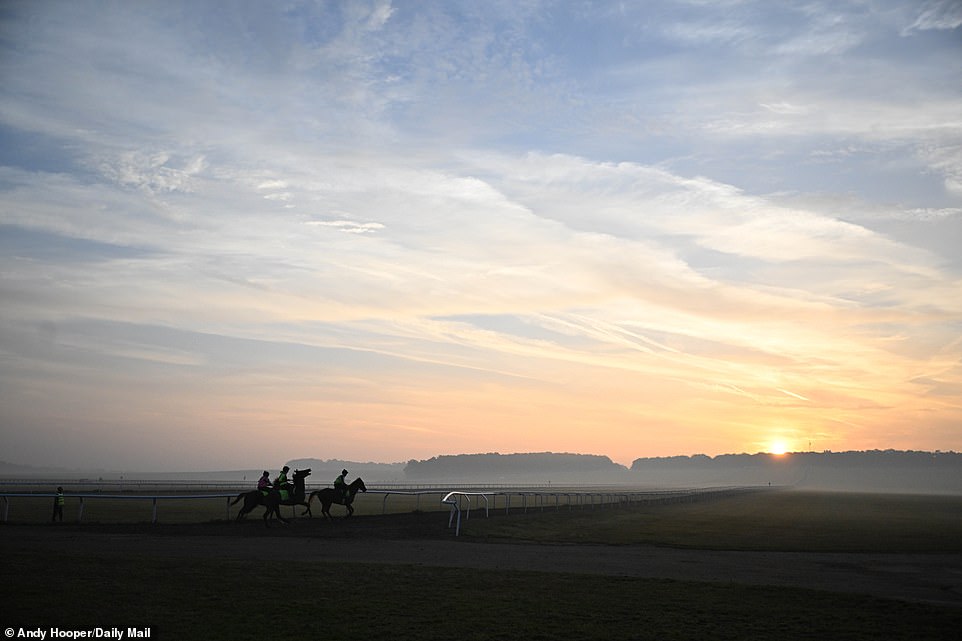 1694417895 379 SOUL OF SPORT The breathtaking Newmarket Gallops are world famous