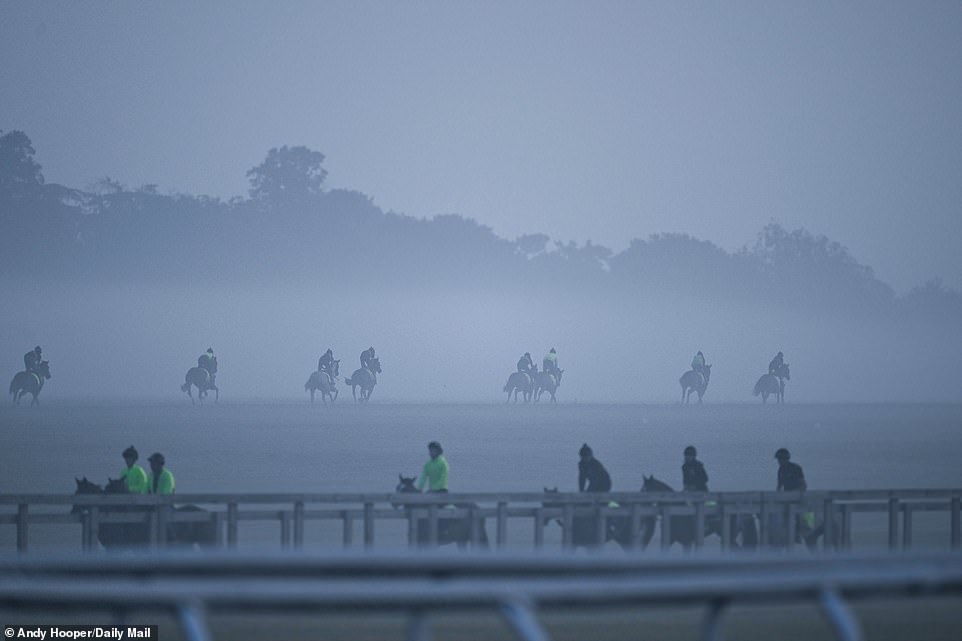 1694417897 32 SOUL OF SPORT The breathtaking Newmarket Gallops are world famous