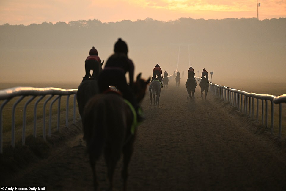 1694417901 434 SOUL OF SPORT The breathtaking Newmarket Gallops are world famous