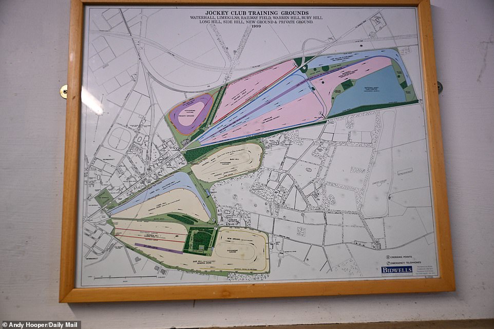 A map of the training ground shows how many hectares the town of Newmarket, east of Cambridge, covers