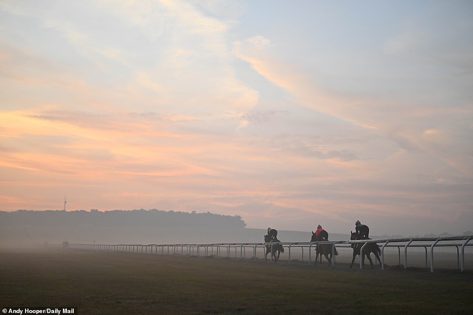 1694417917 691 SOUL OF SPORT The breathtaking Newmarket Gallops are world famous