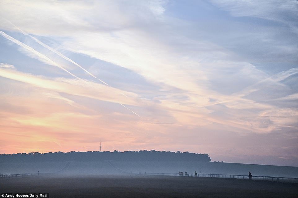 The breathtaking views come into focus as the sun rises over Suffolk as jockeys head out for their early morning ride