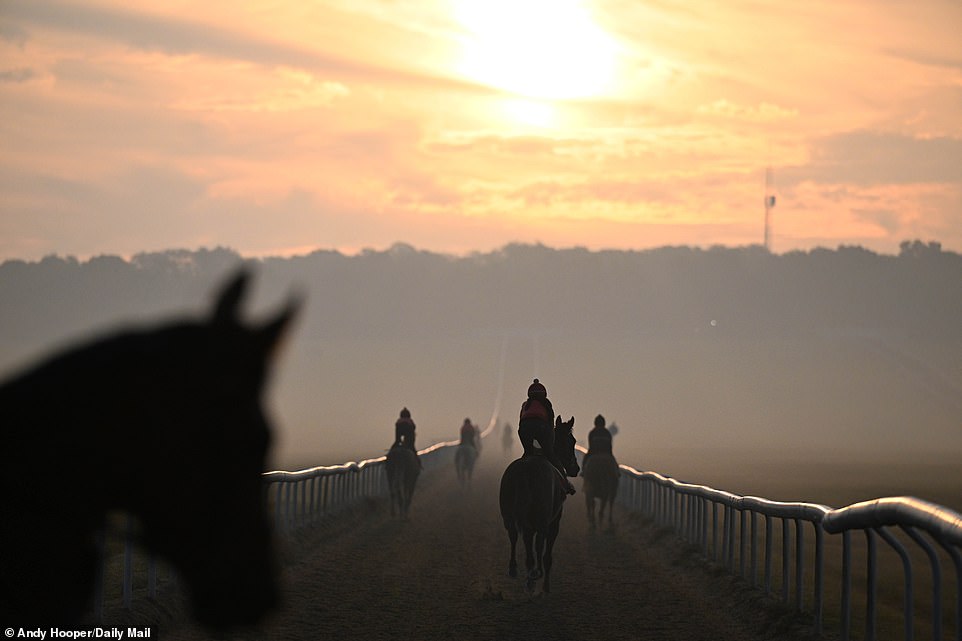 The Newmarket Training Grounds include 50 miles of galloping tracks and more than 14 miles of artificial tracks