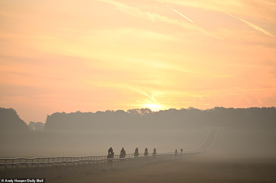 1694417927 190 SOUL OF SPORT The breathtaking Newmarket Gallops are world famous