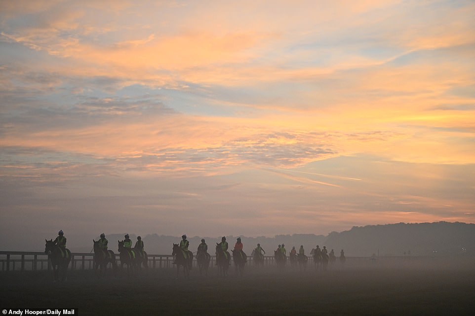 1694417929 169 SOUL OF SPORT The breathtaking Newmarket Gallops are world famous