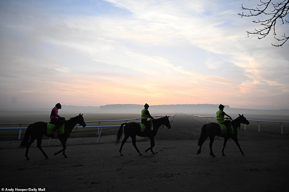 1694417935 81 SOUL OF SPORT The breathtaking Newmarket Gallops are world famous