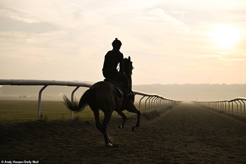 1694417937 662 SOUL OF SPORT The breathtaking Newmarket Gallops are world famous