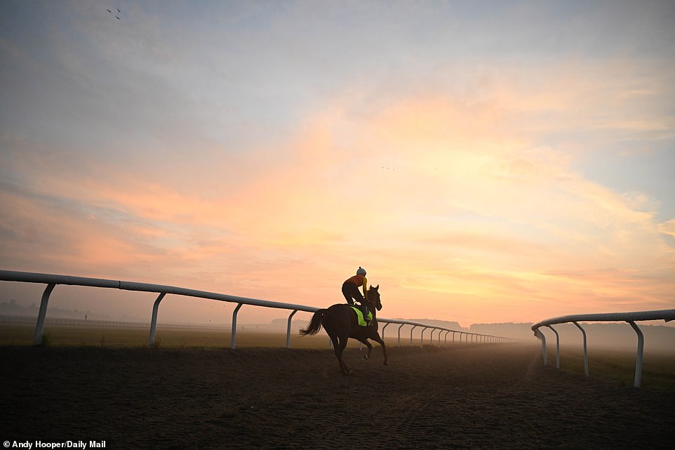 1694417940 169 SOUL OF SPORT The breathtaking Newmarket Gallops are world famous