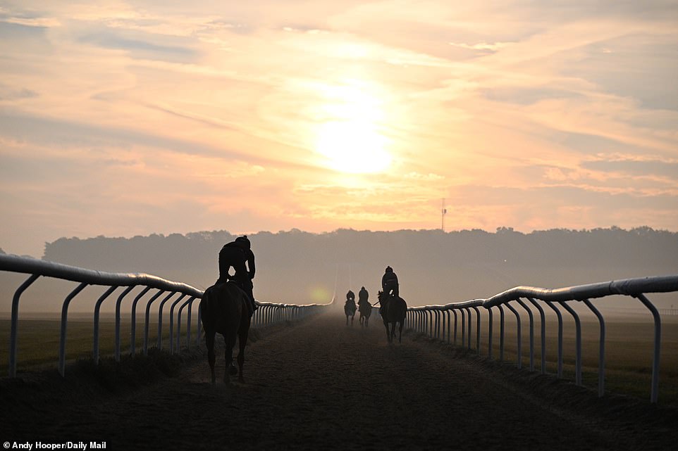 It's time to ride - horses gallop down the long straight at Newmarket with the sun blaring in their eyes as they make their way up the hill