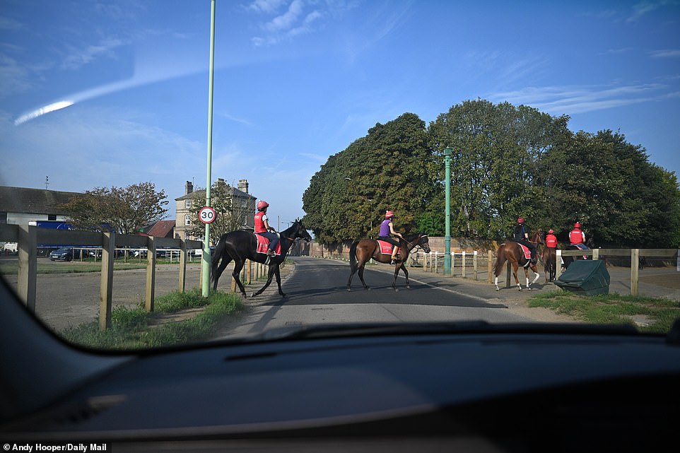 1694417947 45 SOUL OF SPORT The breathtaking Newmarket Gallops are world famous