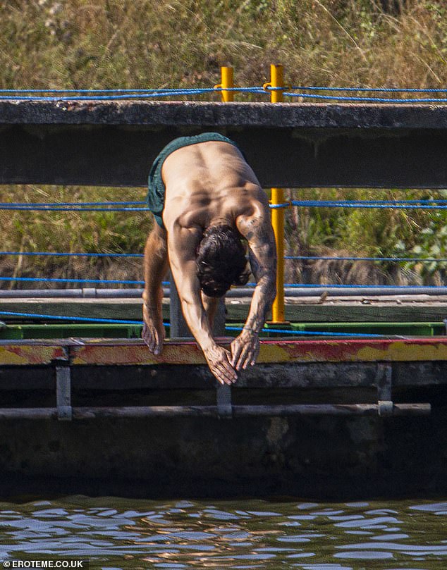 Looking good: Harry showed off his sneaky arms and back as he launched himself into the pond