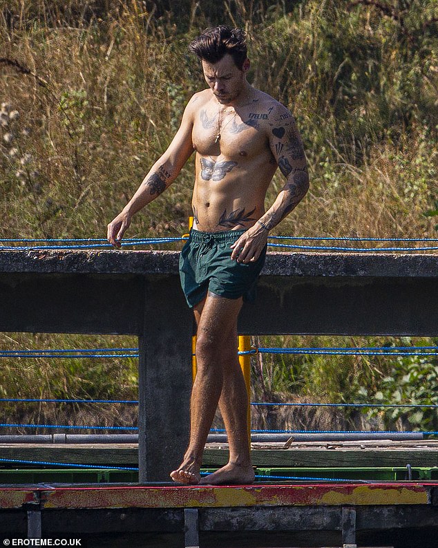 Toned down: Each of the former One Direction star's inks has its own fascinating backstory