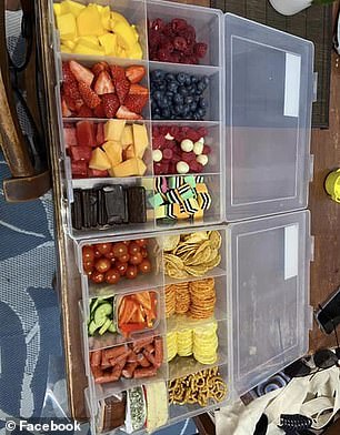 A mother uses organizers to transport food to picnics and barbecues