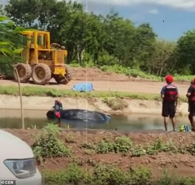 A widely shared photo of the scene shows a black Jetta being pulled from the irrigation canal