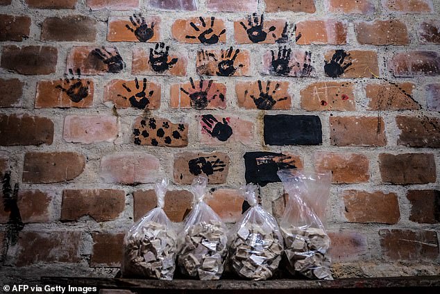 Bags of coca paste, a crude extract of the coca leaf, are pictured May 11 in a laboratory in Nariño, Colombia.