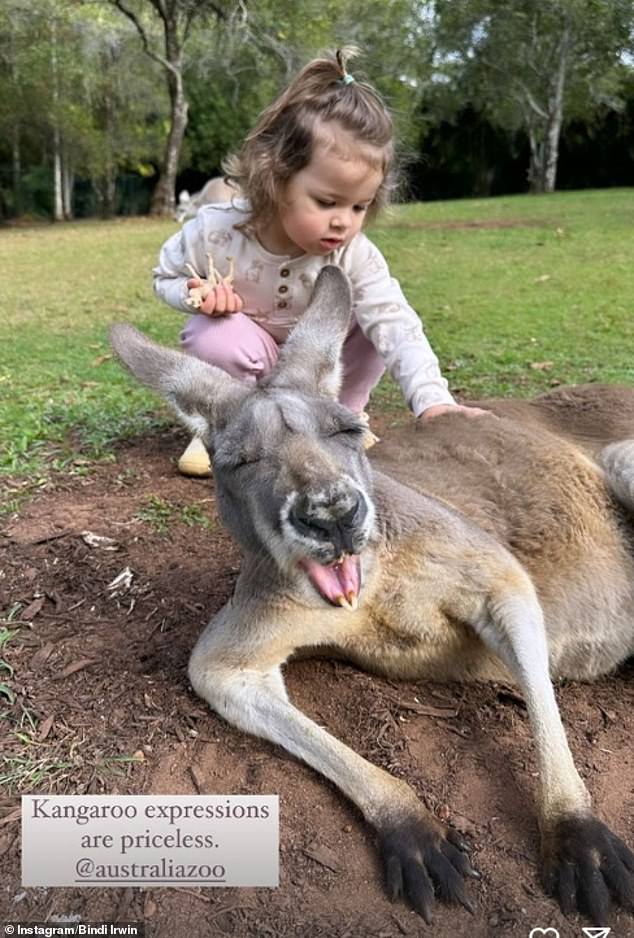 On Tuesday, 25-year-old Bindi shared an adorable photo on Instagram, capturing her toddler gently petting a giant kangaroo at the Australia Zoo