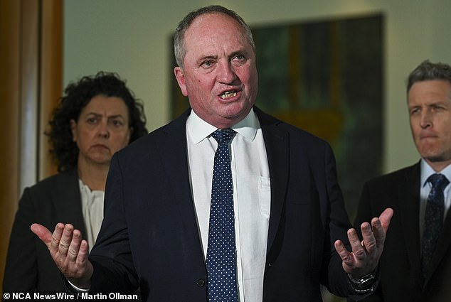 Former Nationals leader Barnaby Joyce told NITV show The Point that the decision to hold the Voice referendum 'just stirred things up'