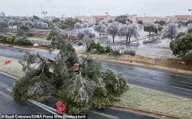 A Target shopping cart sits abandoned in the road next to a fallen tree near the shuttered department store after freezing rain swept through Central Texas in February