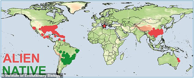 In addition to Europe (red star), it has already established itself in Australia, China, the Caribbean, Mexico and the US.