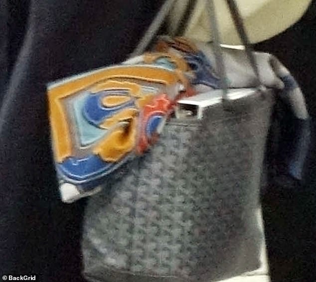 Meghan carried the scarf in an overstuffed bag as she boarded the plane