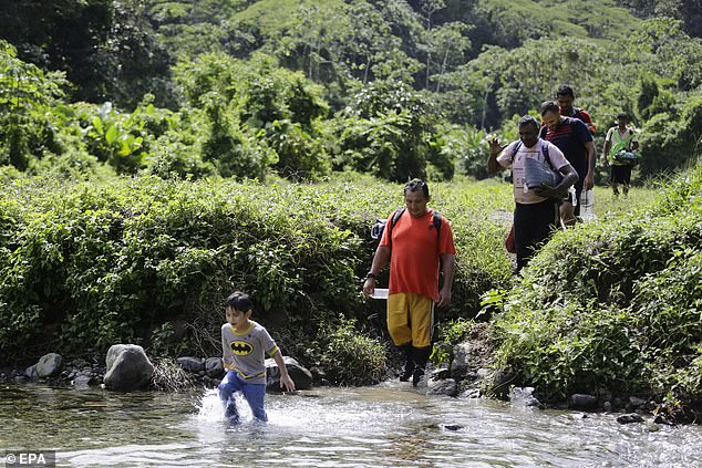 Migrants walk in the jungle of Darien, in the Lajas Blancas sector, in Darien, Panama, August 18, 2023