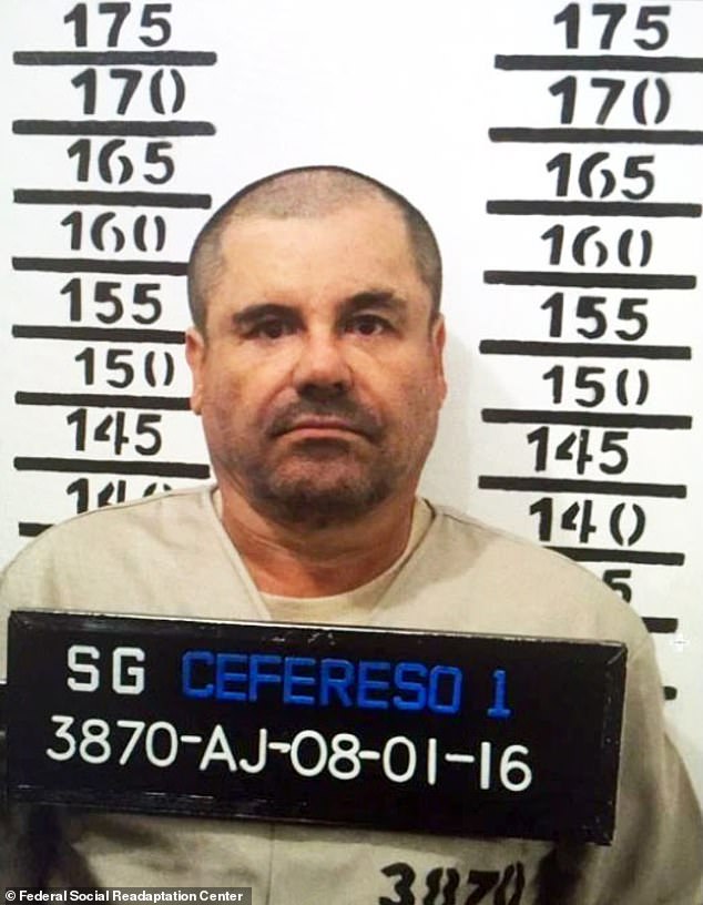 She also admitted acting as a courier between Guzman (pictured), who led the cartel, and other members of the organization while he was held in Mexico's Altiplano prison following his 2014 arrest.