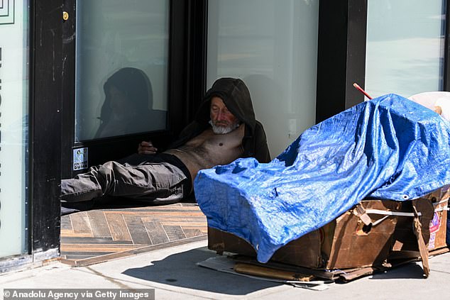 Analysts say the number of homeless people over 65 is soaring, calling it a 'silver tsunami'