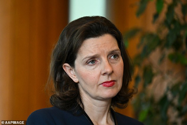 Independent MP Allegra Spender (pictured) condemned the Liberal Party over its text message ad campaign in a fiery post to X