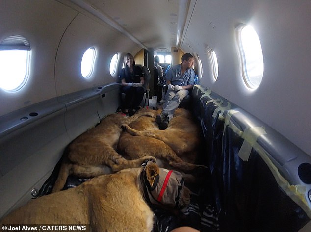 Joel and his colleague are pressed against the side of the plane while the pilots sit quietly in the cockpit despite their menacing load