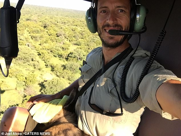 Veterinarian Joel Alves, 34, regularly shares videos with his tens of thousands of followers on social media